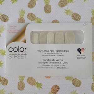 Color Street Home Sleet Home